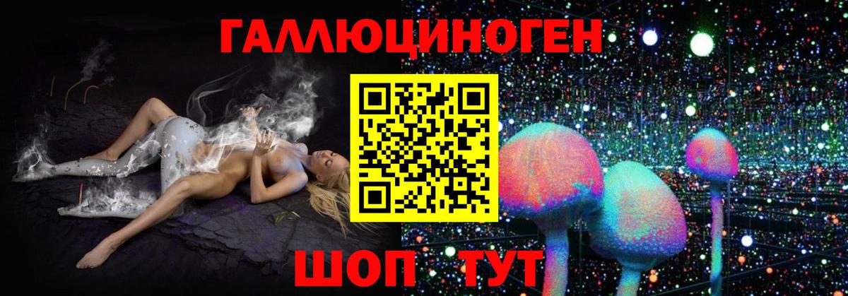 Йошкар-Ола  купить   Вход с VPN  Галлюциногенные грибы мицелий 