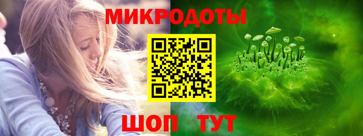 Псилоцибиновые грибы прущие грибы Йошкар-Ола
